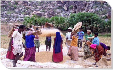 Slide Show Image